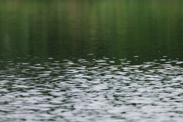 abstract blur and defocused, background of green water ripple in nature park or forest
