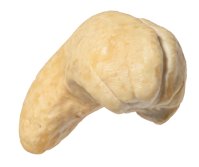 Peeled cashew kernel on isolated background