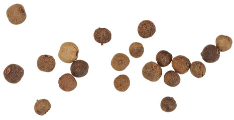 Dry allspice on isolated background, close up