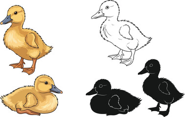 Duckling vector illustration set cute baby duck drawing art