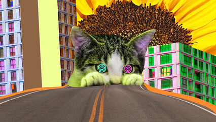 Surreal Collage Photo Pack — Abstract Modern PNG Collection (Pack of 4)