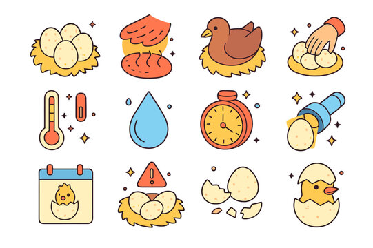 Egg Incubation Icons. egg care and incubation. Colorful isometric vector icons set of egg care and incubation: clutch of eggs, brood patch warmth, incubating