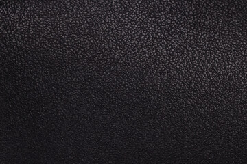 Detailed black grained leather surface.