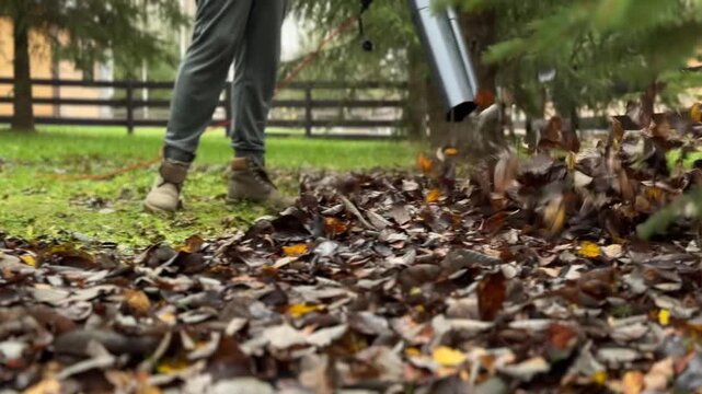 Cordless Leaf Blowers. handheld, cordless, electric leaf blower in a garden, selective focus. Autumn, fall gardening works in a backyard, on a lawn, grass. Garden works.