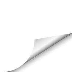 Realistic Paper Page Turning Corner Vector Illustration