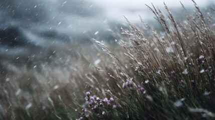 A serene winter landscape with tall grasses and purple wildflowers dusted by falling snow
