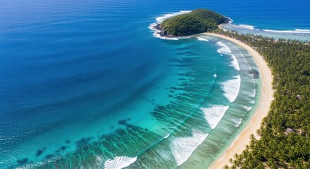Aerial view of a lush tropical island coastline with turquoise waters