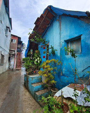 Colorful blue house in Worli Koliwada with potted plants and narrow lanes, showcasing the vibrant culture and charm of Mumbai&rsquo;s traditional fishing village.