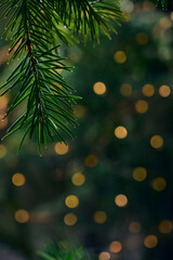 Green Christmas tree branch and yellow lights garlands blurred in bokeh