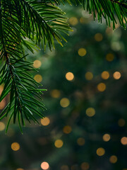 Green Christmas tree branch and yellow lights garlands blurred in bokeh