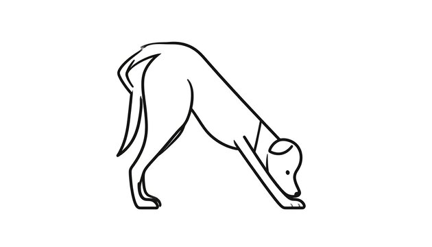 A minimalist black and white line drawing of a dog in a downward-facing pose, like in yoga - Powered by Adobe