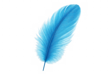 Blue feather displaying softness and lightness, delicate plumage symbolizing freedom and elegance, transparent background
