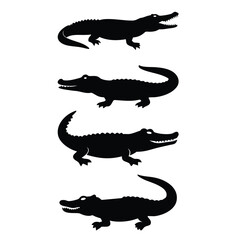 Vector illustration of cartoon american alligator crocodile or lizard, wild reptile animal isolated on white background