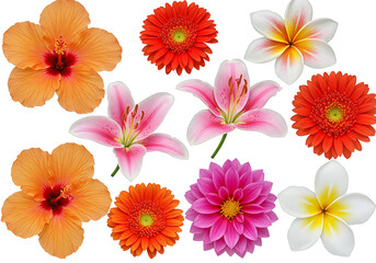 A vibrant floral arrangement showcasing a variety of flower types in various colors, evoking a sense of freshness and beauty.