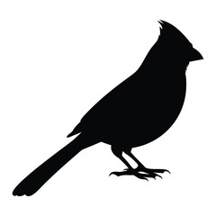 Northern cardinal bird wildlife vector silhouette illustration on a branch