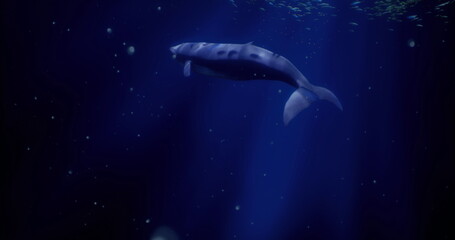 Fototapeta premium A majestic whale swims effortlessly through the tranquil depths of the ocean. Soft beams of light filter down, highlighting its smooth body against the dark waters.