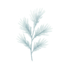 Watercolor Style Soft Blue Winter Branch, Foliage, Nature-Inspired Seasonal Decor
