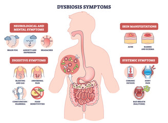 Dysbiosis symptoms visual shows gut imbalance across body, human silhouette with intestines and bacteria icons highlights digestive, skin, mental signs. Outline diagram