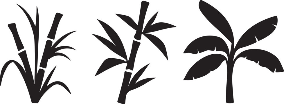tropical plants sugarcane bamboo and banana leaves clean silhouette vector illustrations