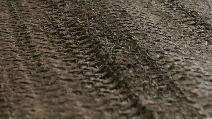 After a refreshing rain, deep tire tracks cut through a rich, muddy ground, capturing the essence of natures beauty and the passage of vehicles across an earthy terrain.