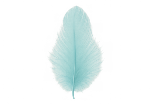 Light blue feather isolated on transparent background symbolizing softness, freedom, and airiness concept