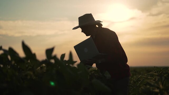 Farmer using laptop at sunset in field. Technology in agriculture concept at sunset . Silhouette of farmer managing crops with laptop. Modern farming technology. Farmer leveraging technology at sunset