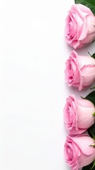 Elegant Pink Rose Display: A vertical arrangement showcases four delicate pink roses, their soft petals hinting at the elegance of a classic romantic gesture. 