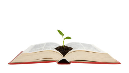 Open book with green seedling growing from pages symbolizing knowledge growth, education, learning, and environmental inspiration