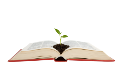 Open book with green seedling growing from pages symbolizing knowledge growth, education, learning, and environmental inspiration