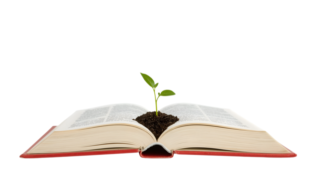 Open book with green seedling growing from pages symbolizing knowledge growth, education, learning, and environmental inspiration