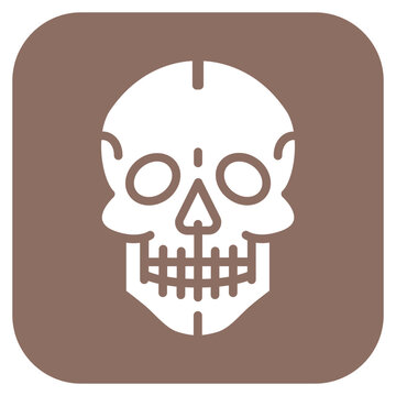 Skull icon vector image. Can be used for Human Anatomy.