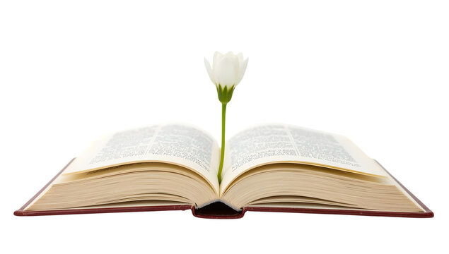 Open book with blooming white flower bookmark on isolated the transparent background symbolizing knowledge growth and tranquility