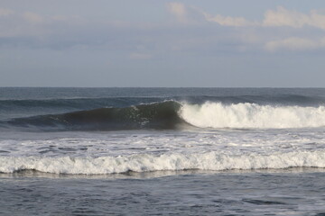Waves