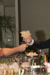 barman, barwoman, alcohol, fiesta, servir, atención, bebida, diversión, noche, beber, bar, mano, cerveza, champaña, restaurante, liquida, participación, brindis, boda, celebraciones, cocktail