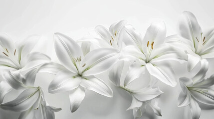 Branch of white lilies as symbol of the funeral
