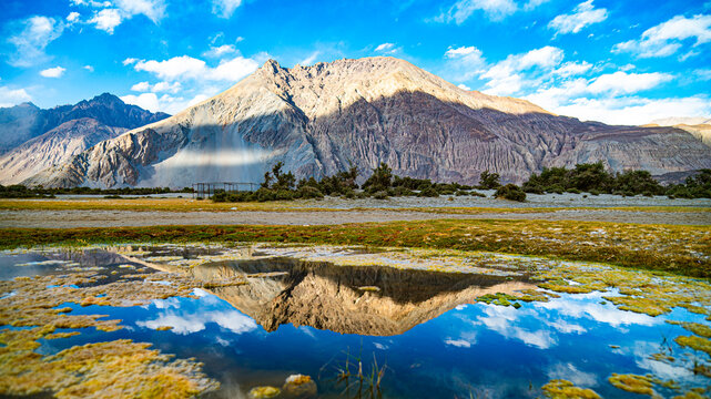 Hunder Sand Dunes, Nubra Valley, Ladkh State, India.
