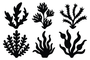 Set of Sea corals and seaweed silhouette vector illustration
