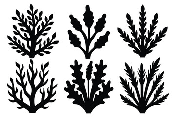 Set of Sea corals and seaweed silhouette vector illustration