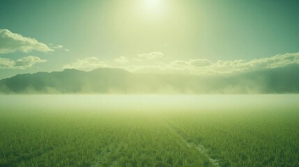 A vast, verdant field fades into a misty, mountainous horizon under a bright, sunlit sky