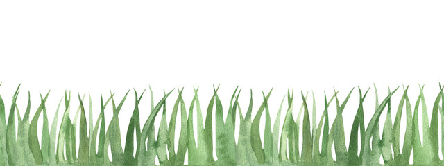 Watercolor green grass border. Hand-drawn illustration of green tall grass, greenery, and a green hedge. Design and decoration. Scrapbooking, ribbon, tape, or stripe. Horizontal banner.