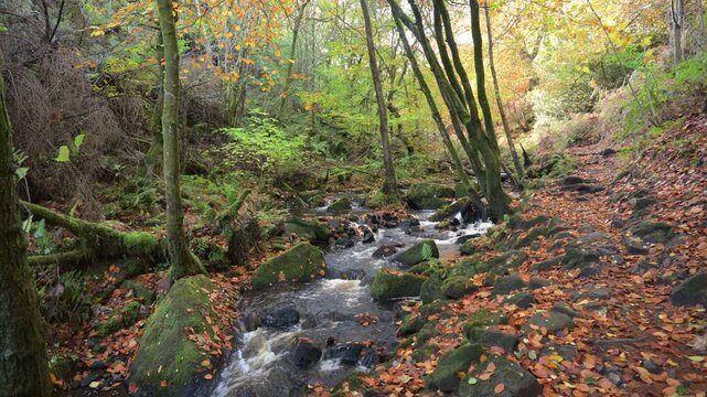 Cascading water running through a rocky ravine during autumn at Wyming Brook Nature Reserve in the Derbyshire, Peak District National Park.