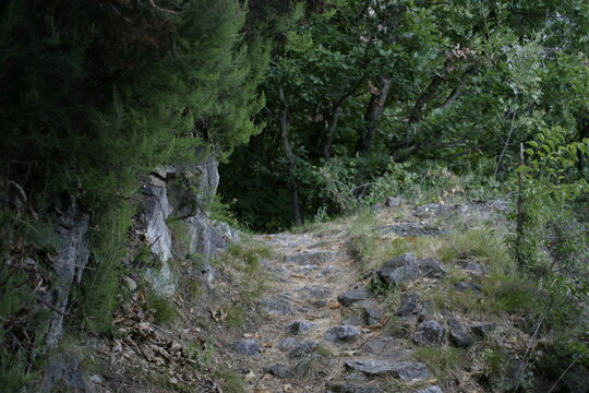 Mountain path in Val Codera (Alps), Lombardy, Italy.