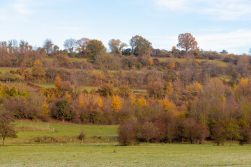 Autumn Landscape Terrain Hilly Countryside
