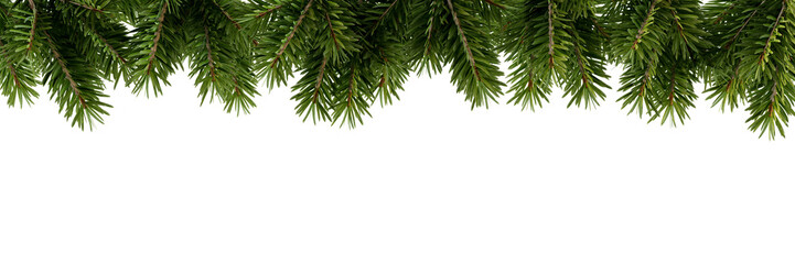 christmas tree branches isolated on white