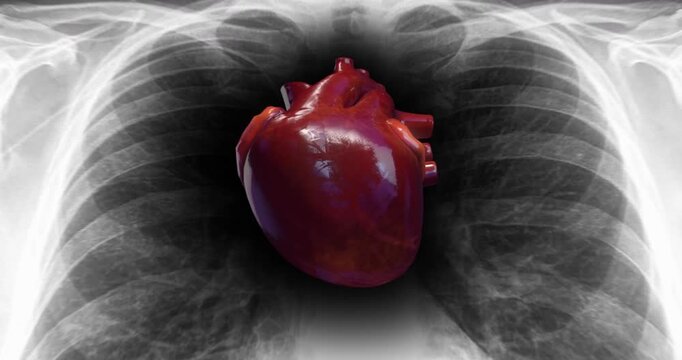 Realistic pumping heart and vein animation with red blood cells. Medical and health related 3D animation. 