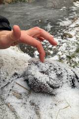 A frosty winter hike to Tomasovsky view, a stunning rock formation offering breathtaking vistas in Slovensky Raj National Park, Slovakia