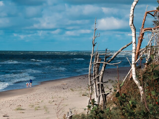 City, nature, university, mountains, trees, flowers, beauty, buildings