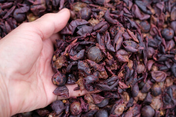 Floating grape skins and solids. Wine fermentation close up. Winemaker's hand punching down the cap.