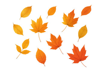 Naklejka premium Autumn leaves falling, scattered maple and various tree foliage bringing seasonal color and abstract pattern on transparent background