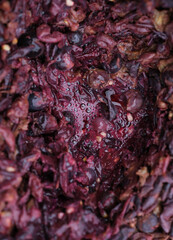 Grape skins and solids. Wine fermentation close up. Punching down the cap for healthy fermentation.